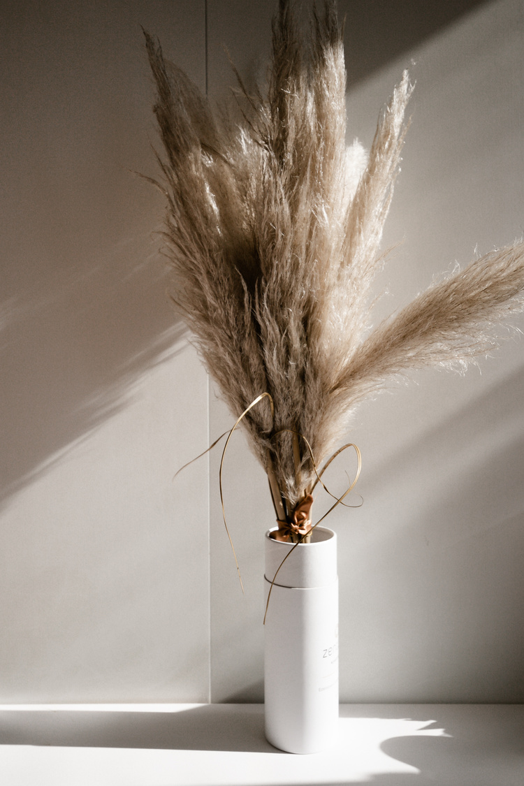 Pampas Grass on White Vase 