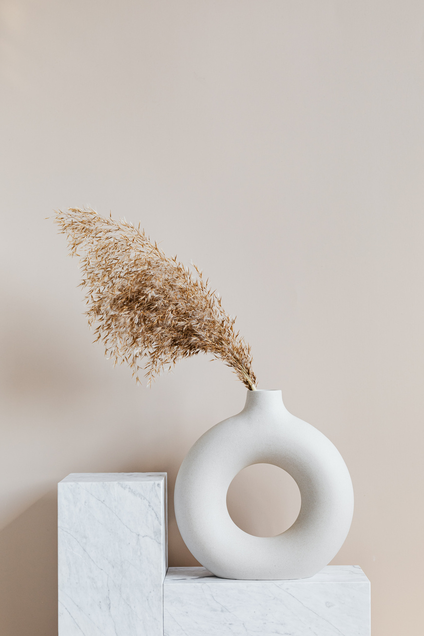 Brown Plant on White Ceramic Vase